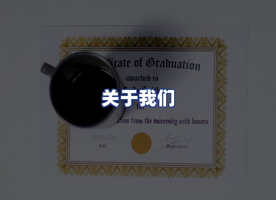 专业团队